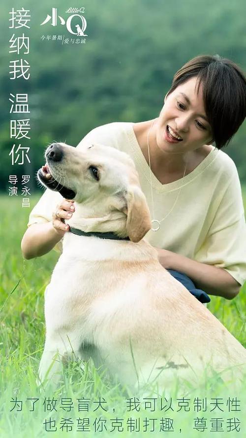 做个政府招标代理机构资格证书